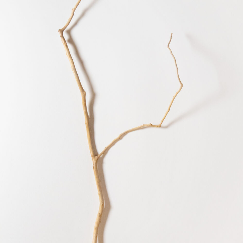 Untitled (branches)