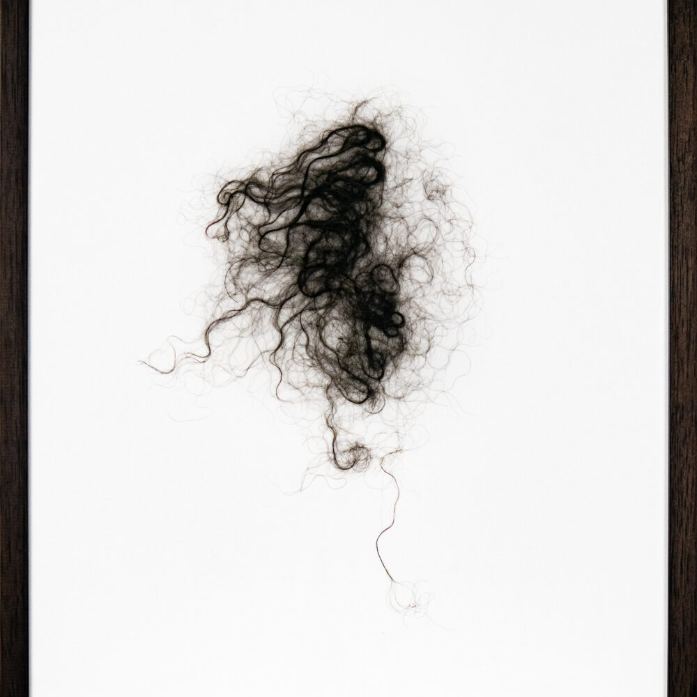 Buffalohair