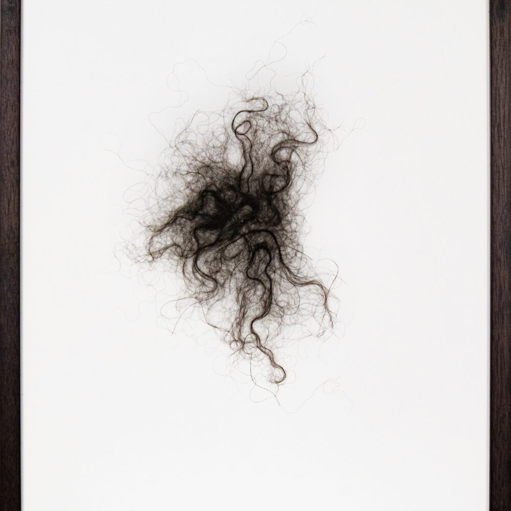 Buffalohair