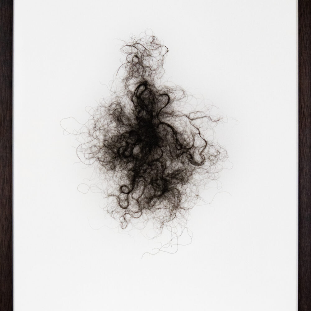Buffalohair
