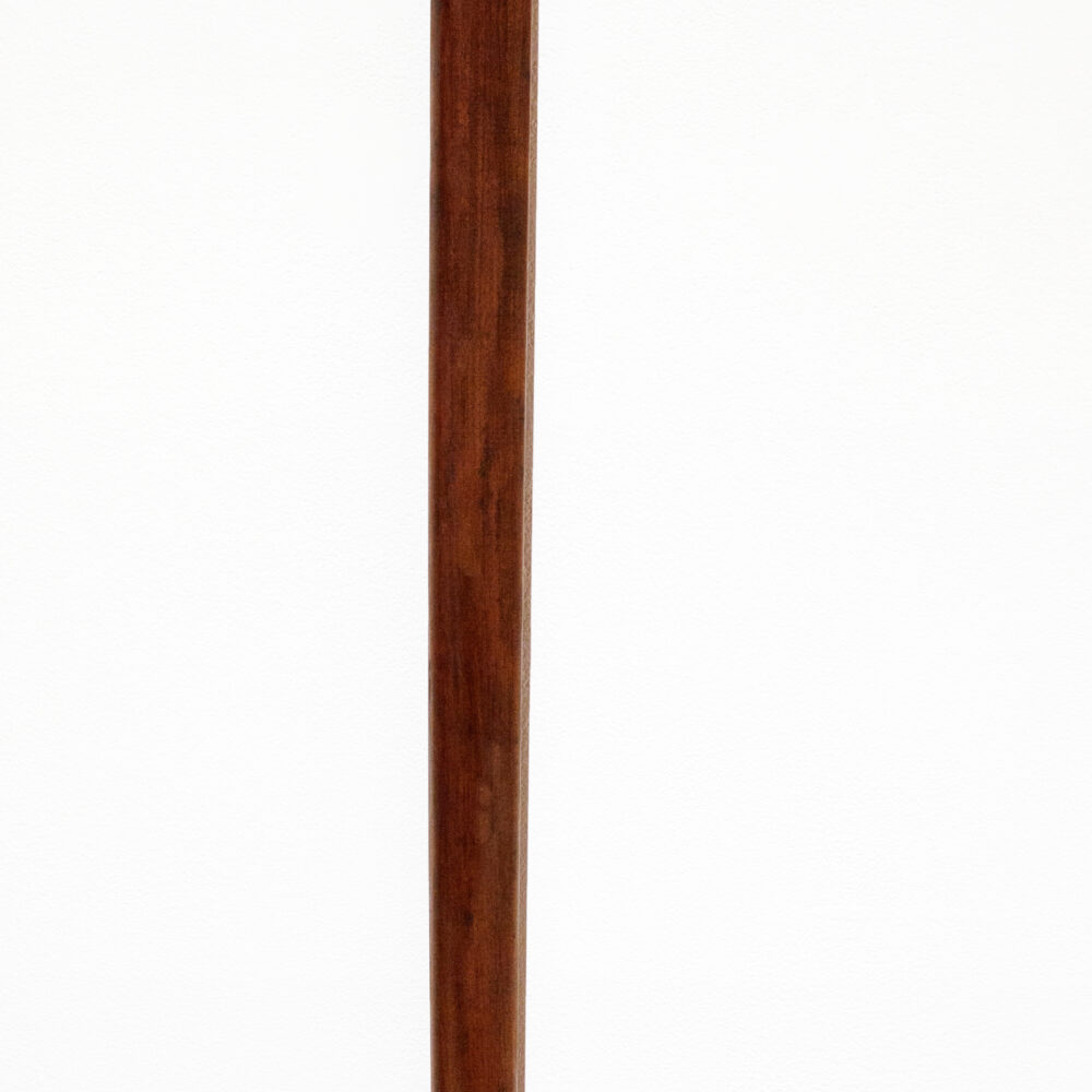 Cane