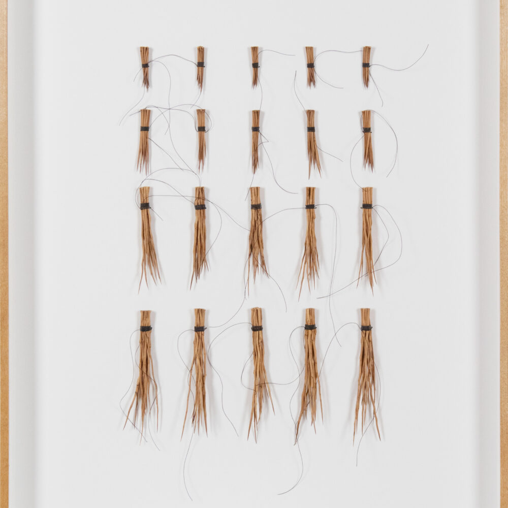 Thorn Bundles (Diptych)