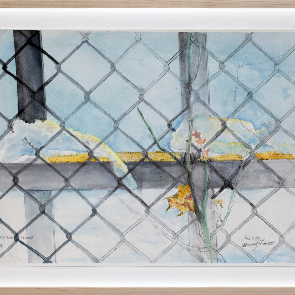 Chainlink Fence