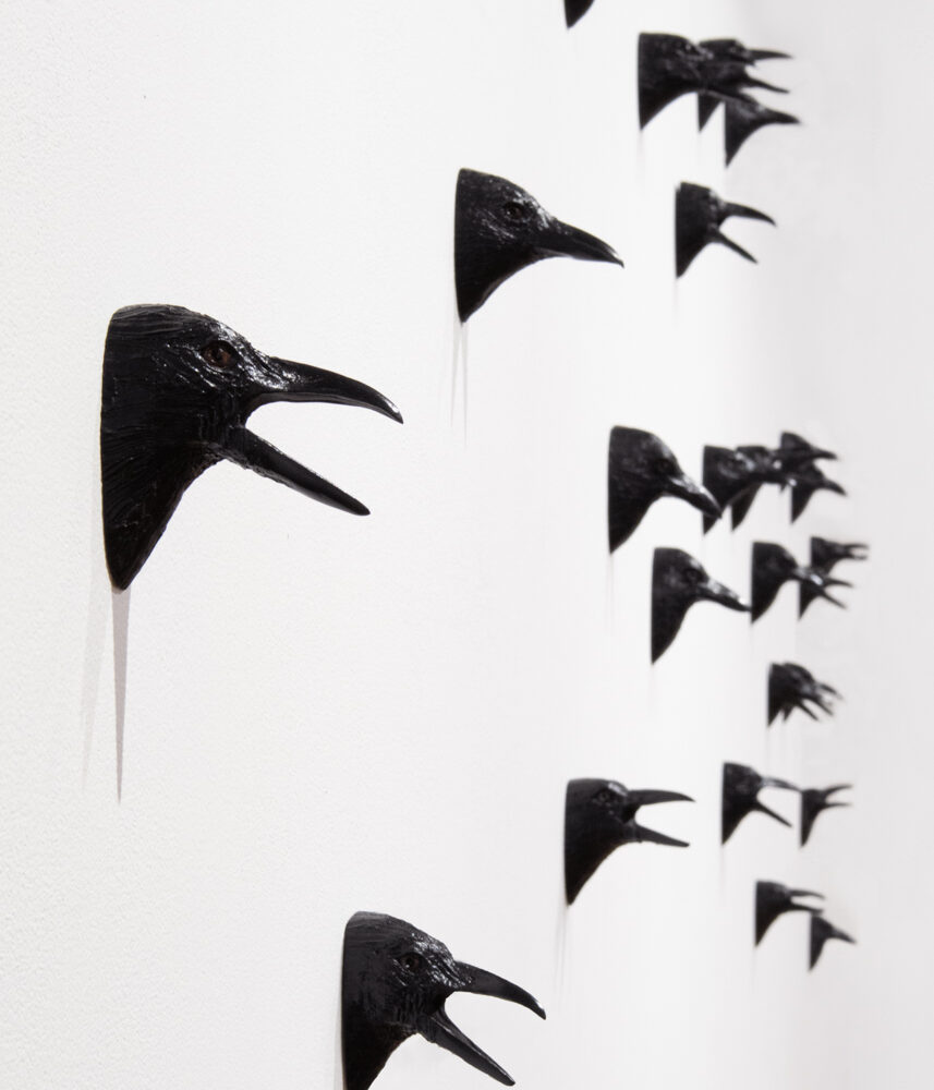 Crow(d)