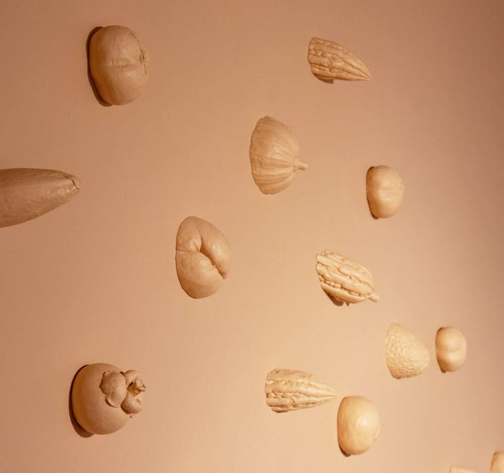 Fleshy Protrusions