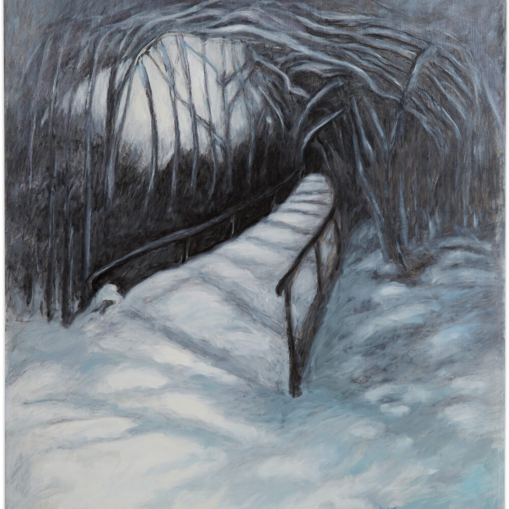 Stairs Snow