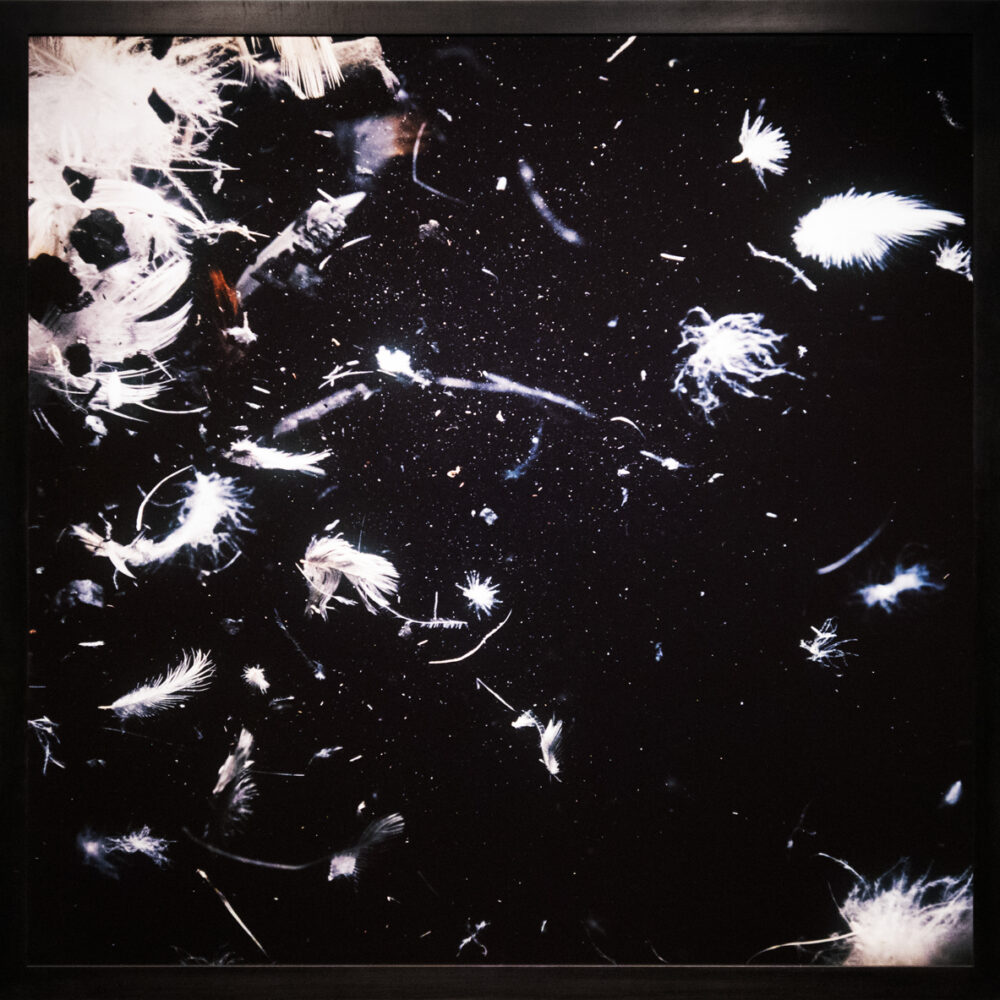 Lament 1, Image 4
