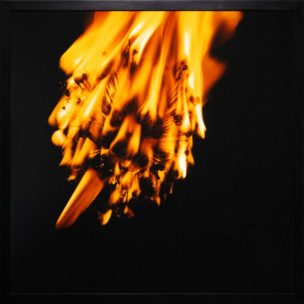 Lament 1, Image 1