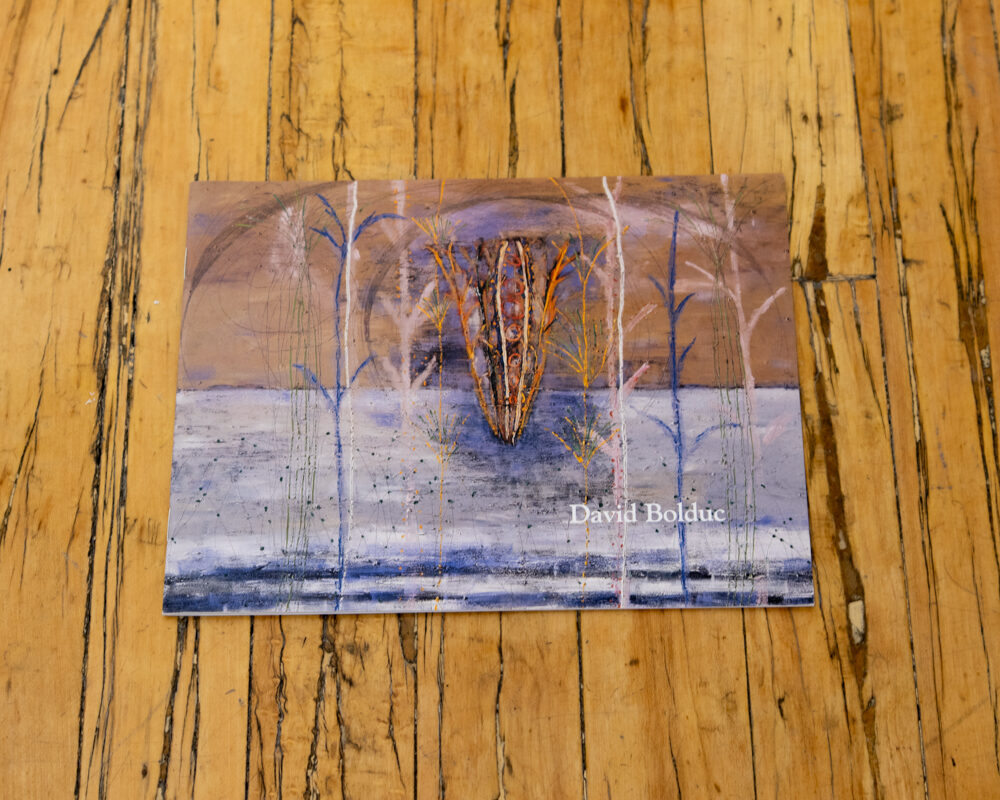 David Bolduc: Days and Nights in the Forest