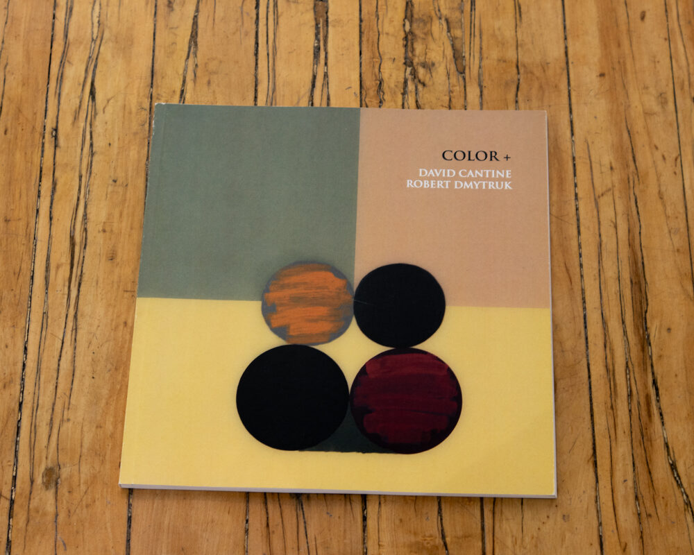 David Cantine & Robert Dmytruk: Color +