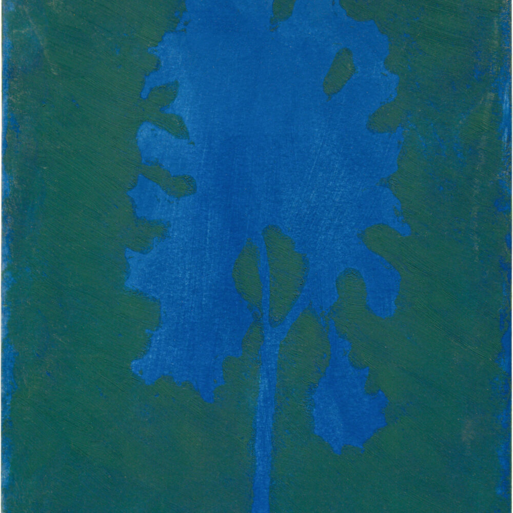 Untitled Orpheus Series