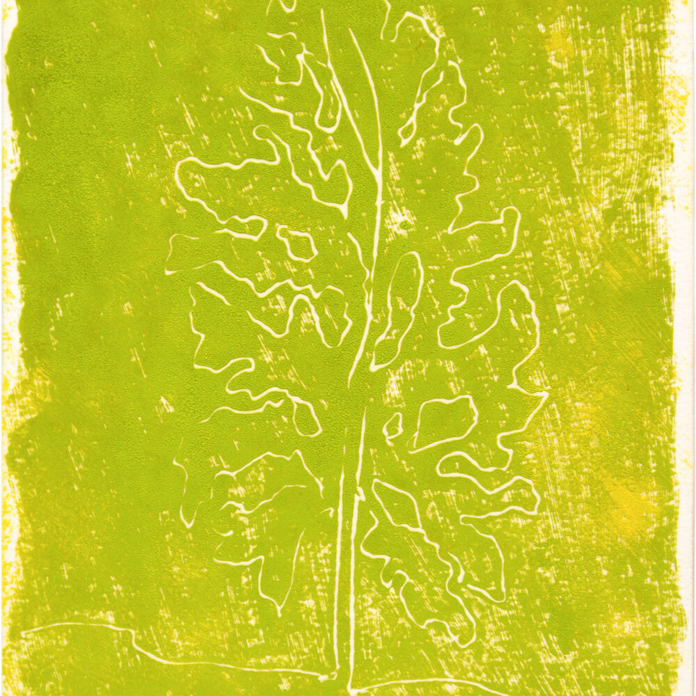 Untitled Orpheus Series
