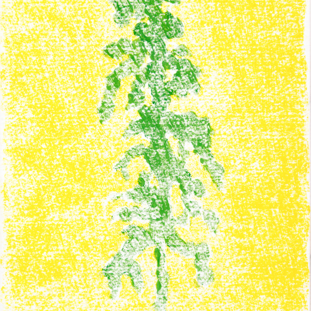 Untitled Orpheus Series
