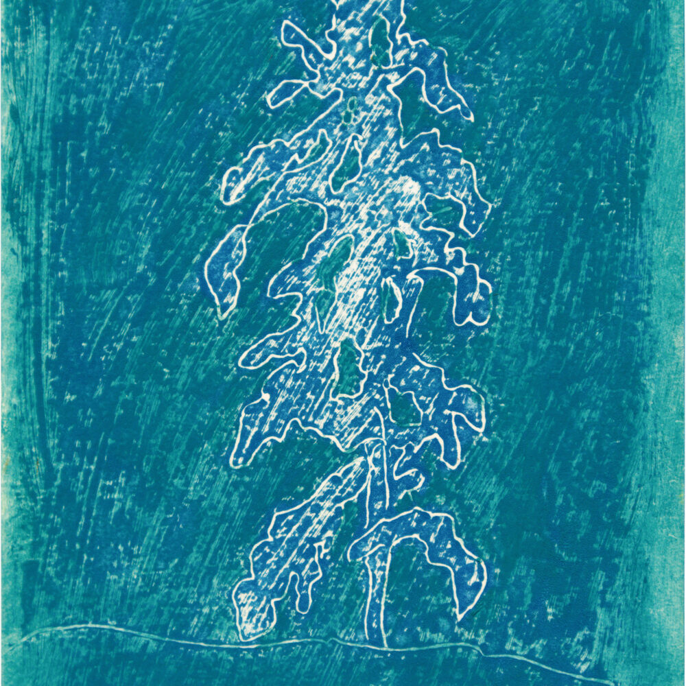 Untitled Orpheus Series