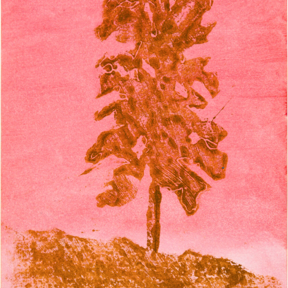 Untitled Orpheus Series