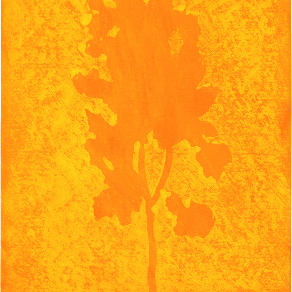 Untitled Orpheus Series