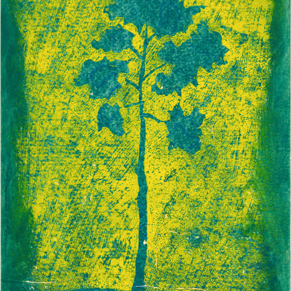 Untitled Orpheus Series