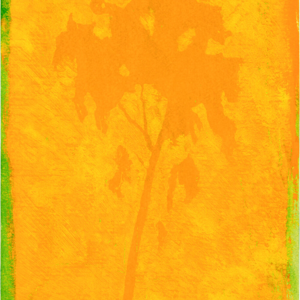 Untitled Orpheus Series