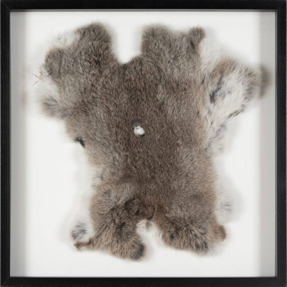 Authentic Artifact Joseph Beuys Eurasia Siberian Symphony 1963 Hare used during a 1966 performance/action Berlin
