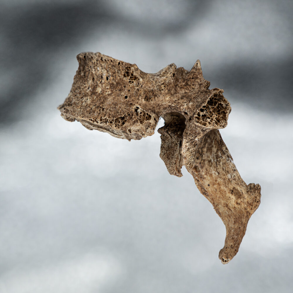 Memento 2