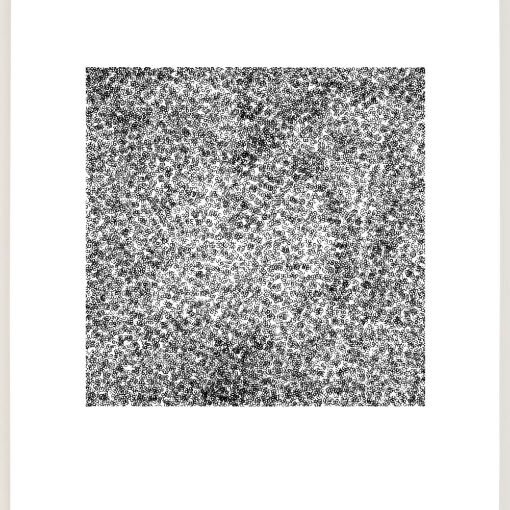 It's Just a Number, No. 39 (a)
