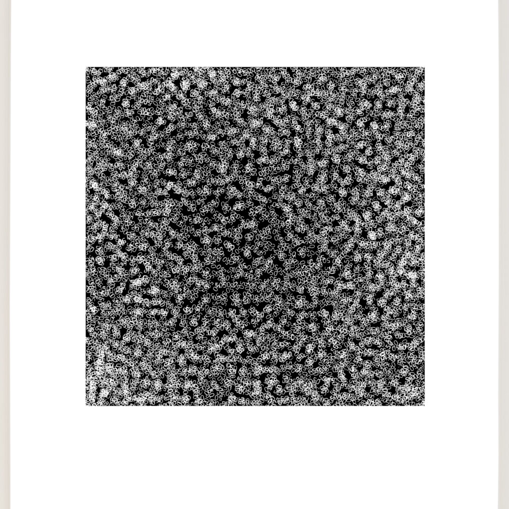 It's Just a Number, No. 50 (b)