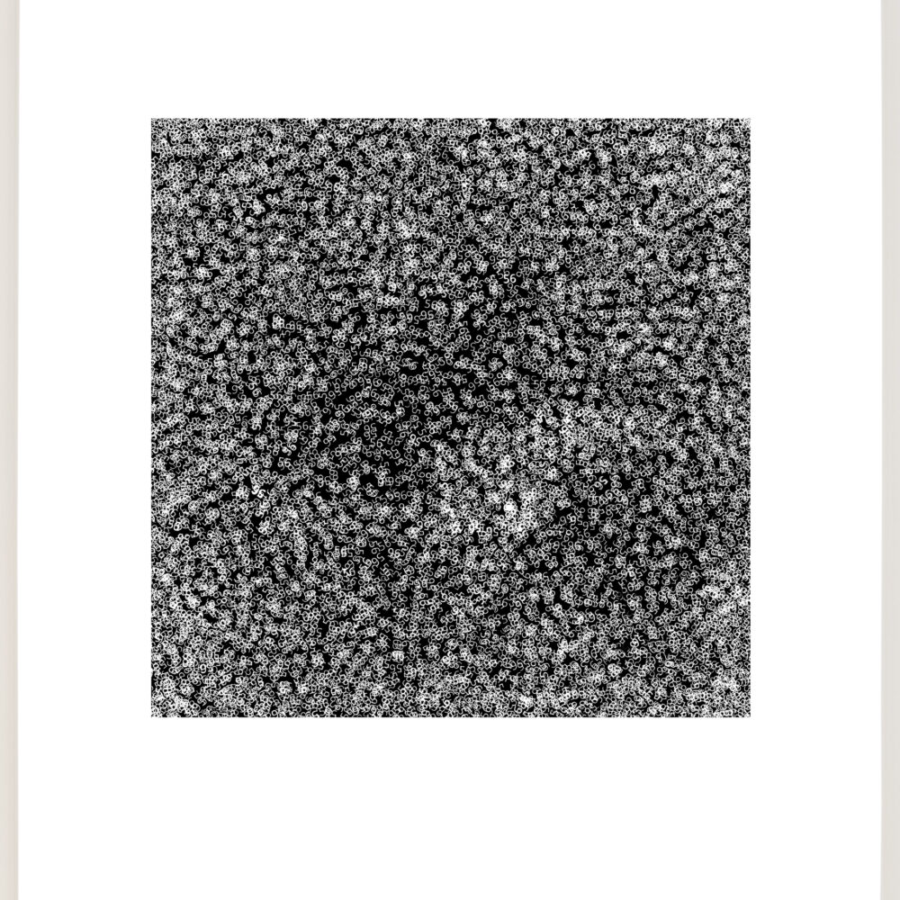 It's Just a Number, No. 56 (b)