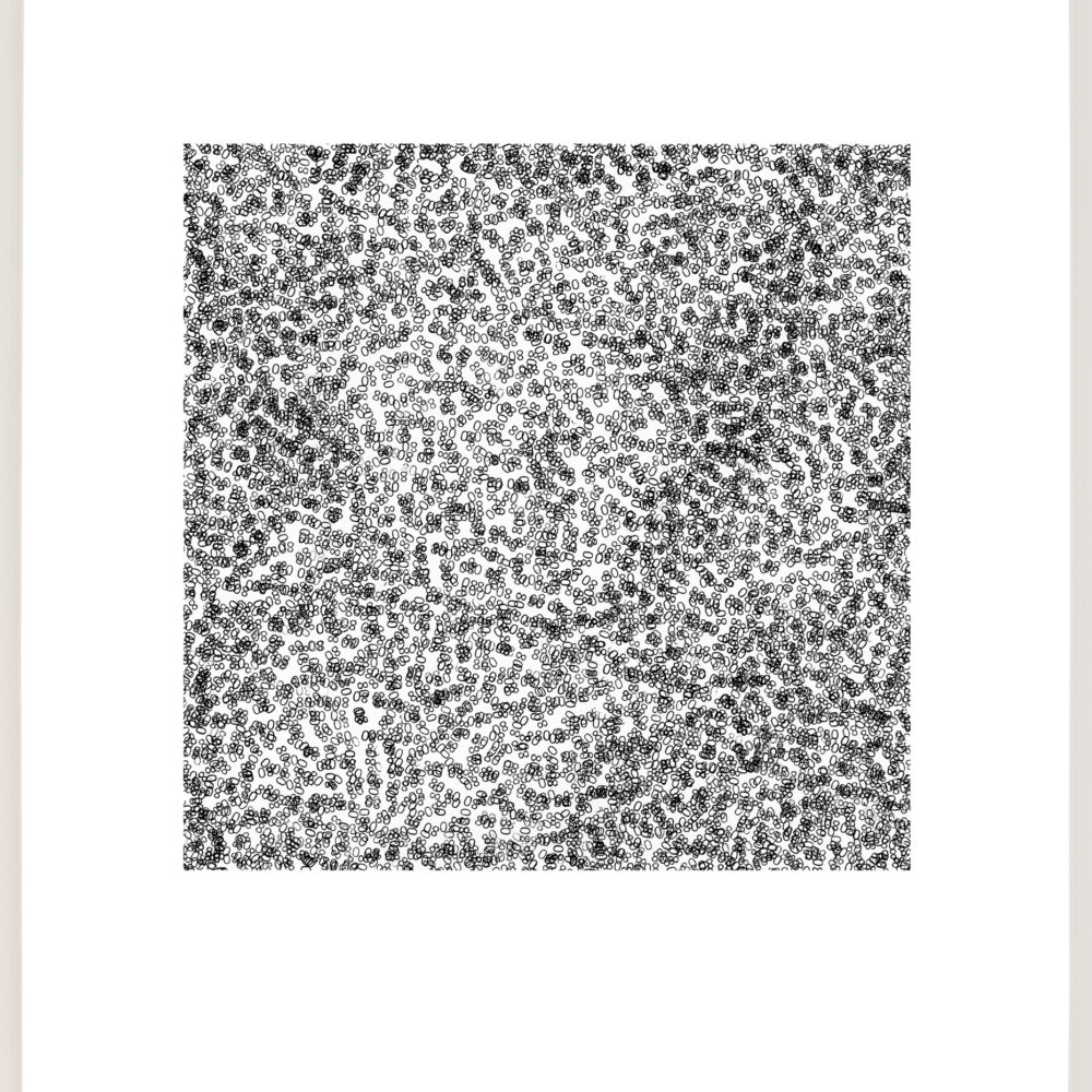 It's Just a Number, No. 80 (a)