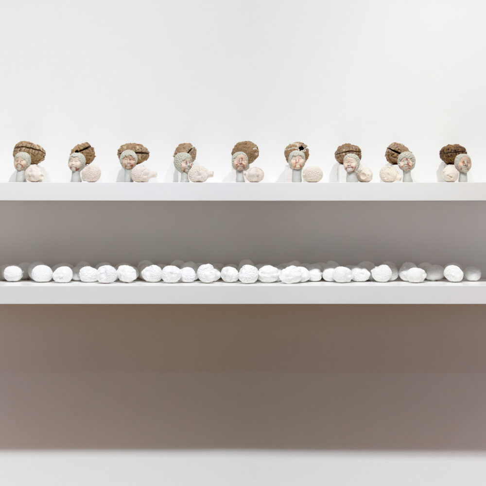 Not Titled (Installation)