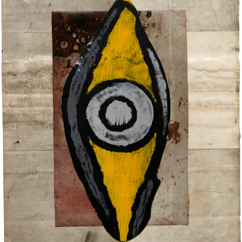 Vertical Eye