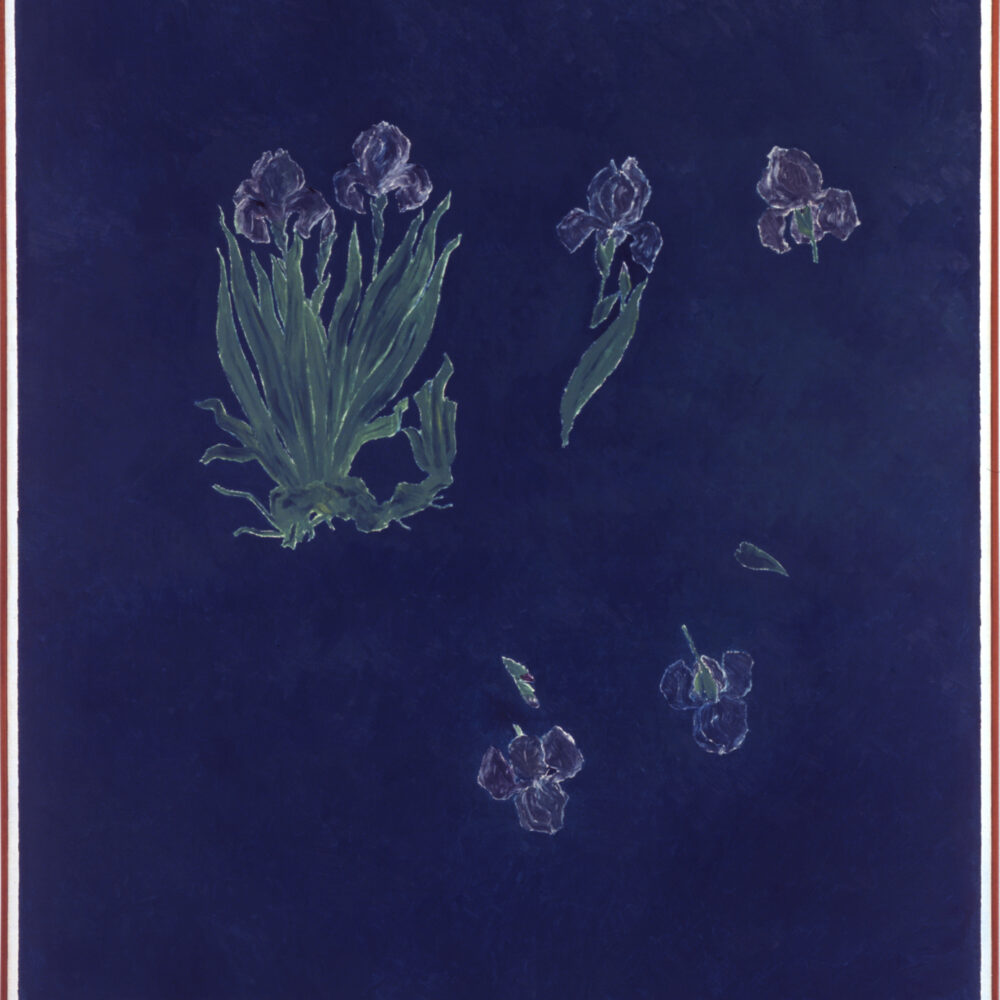 In Space, Blue Irises